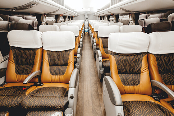 motor coach bus rentals