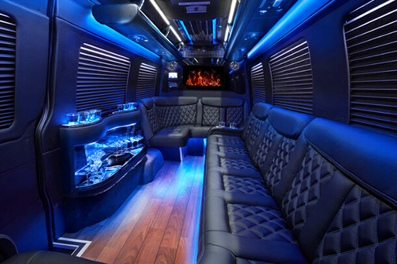 party limo van