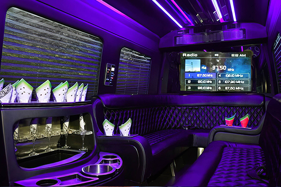 14 passenger sprinter limo van interior #2