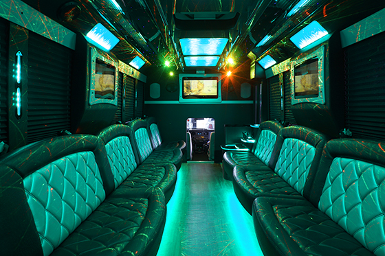 34 passenger party/limo bus interior #2